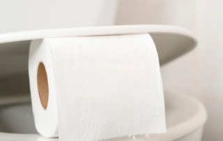 papel higiênico no vaso