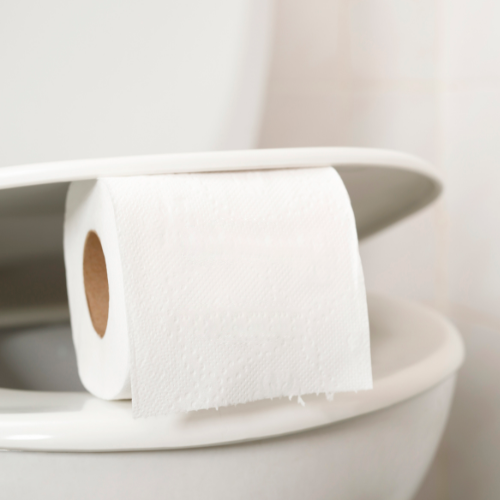 papel higiênico no vaso